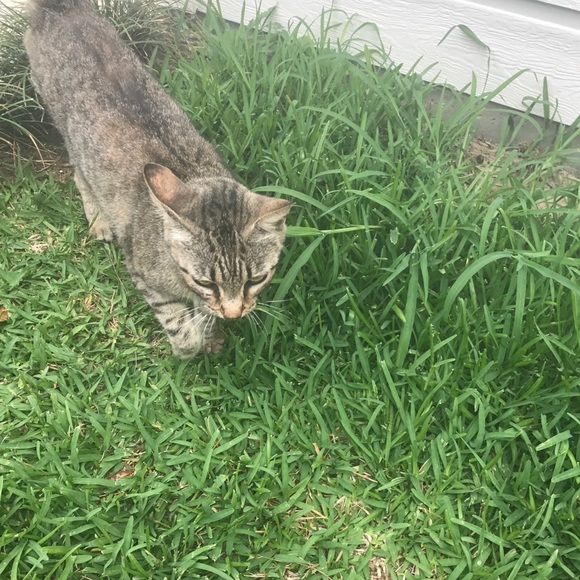 Meet your Posher, Jonathan - Picture 1 of 1